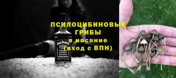 соль ск Лагань