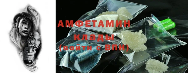 прущие грибы Александровское