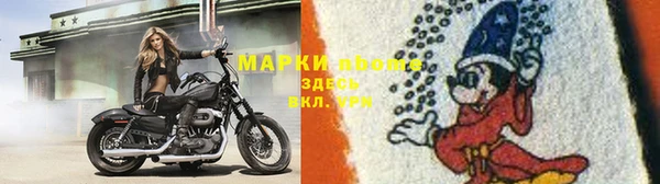 гидропоника Ладушкин