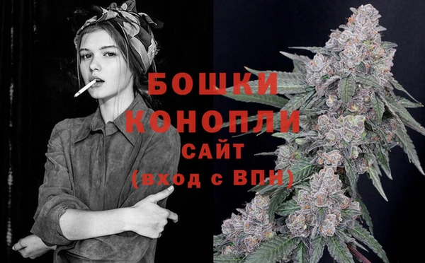 стаф Лабытнанги
