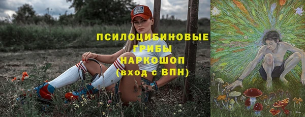 гидропоника Ладушкин