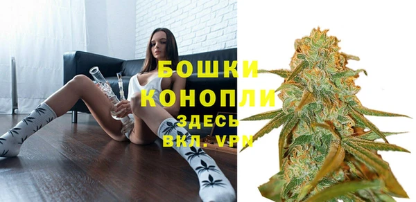 гидропоника Ладушкин