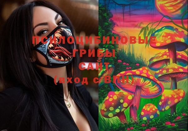 стаф Лабытнанги