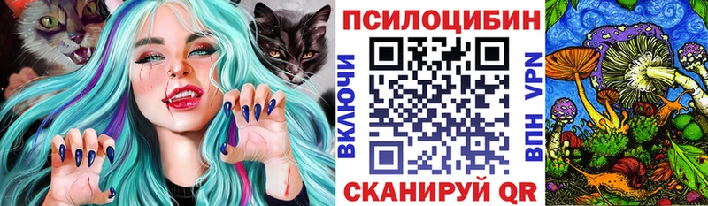 Купить  Ардон  Псилоцибиновые грибы Psilocybine cubensis 